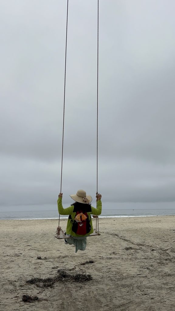 Swing at Half Moon Bay