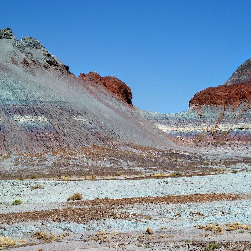Petrified Forest National Park